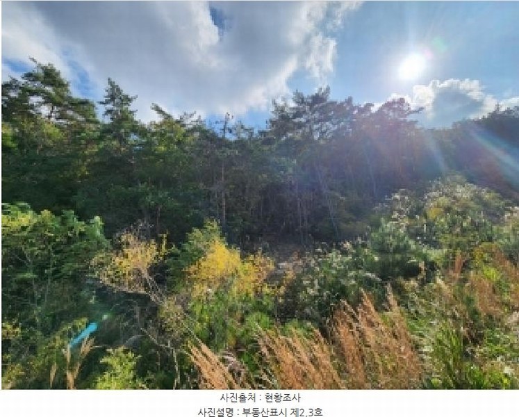 2025타경30408 전북특별자치도 부안군 변산면 대항리 산3-40 임야 경매 이미지