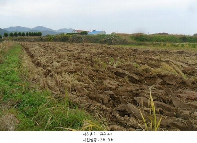 2025타경30458 전북특별자치도 고창군 심원면 만돌리 324 농지 경매 이미지