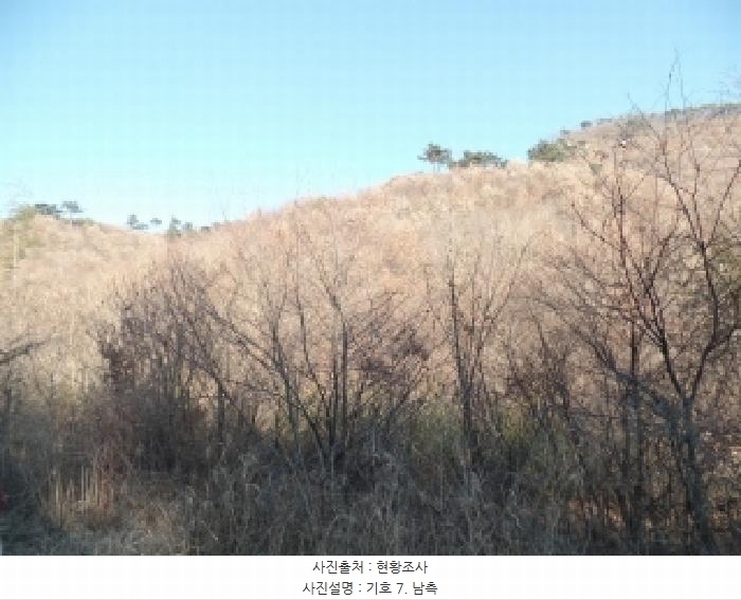 2025타경396 충청남도 논산시 벌곡면 한삼천리 395-9 임야 경매 이미지
