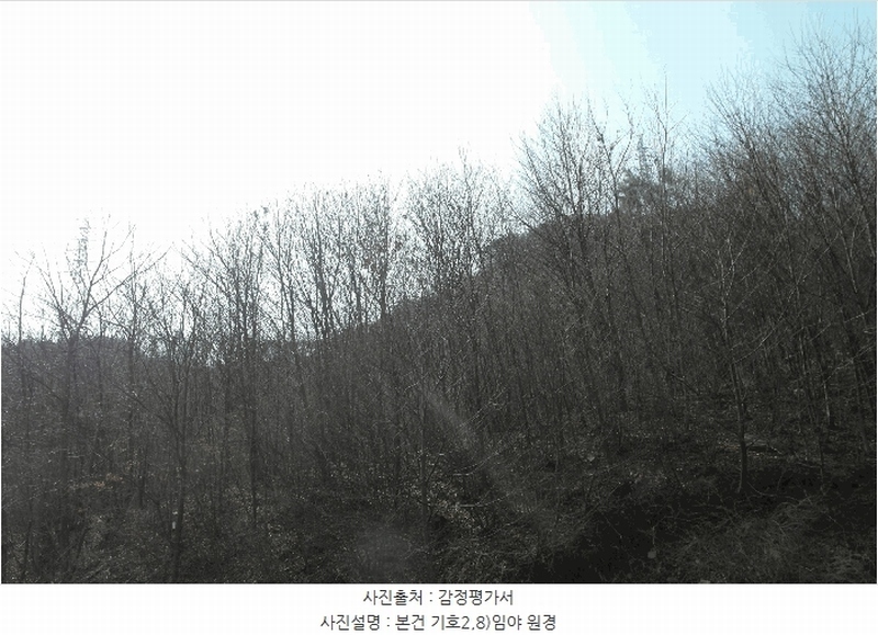 2025타경396 충청남도 논산시 벌곡면 한삼천리 395-9 임야 경매 이미지