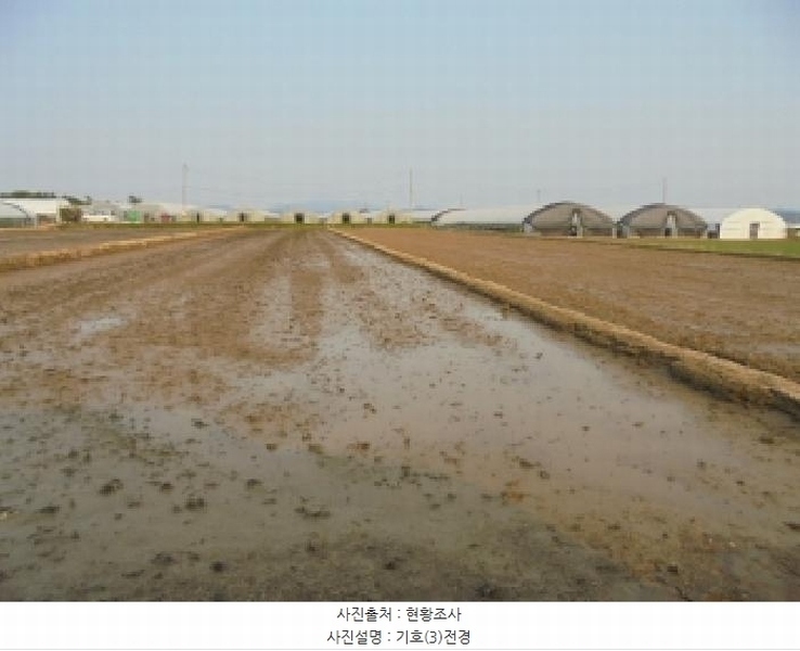 2025타경20356 충청남도 논산시 광석면 천동리 499-11 농지 경매 이미지