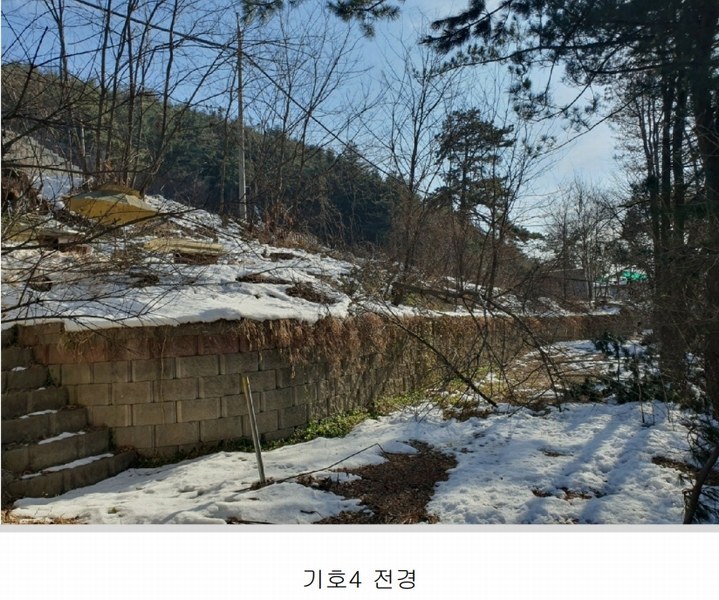 2024타경12544 경기도 용인시 처인구 양지면 양지리 314-2 임야 경매 이미지