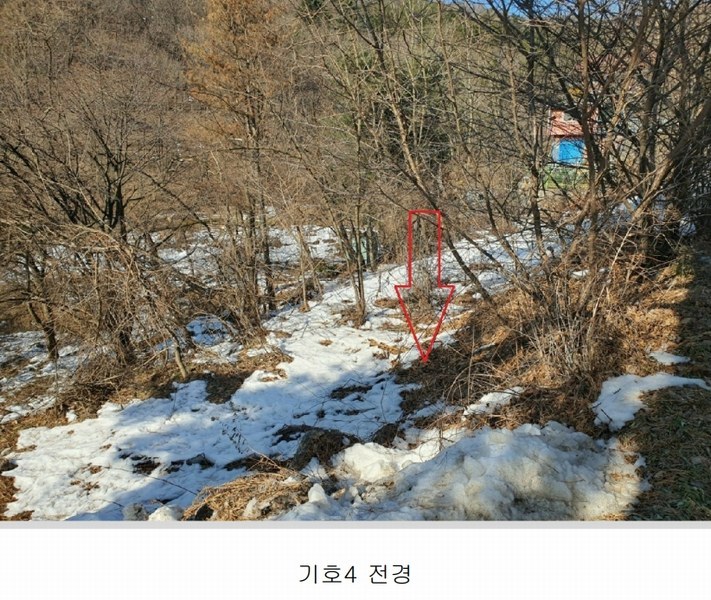 2024타경12544 경기도 용인시 처인구 양지면 양지리 314-2 임야 경매 이미지
