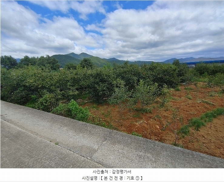 2024타경12090 경상남도 밀양시 산외면 금천리 691-1 하천 경매 이미지