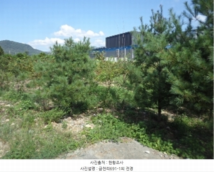 2024타경12090 경상남도 밀양시 산외면 금천리 691-1 하천 경매 이미지