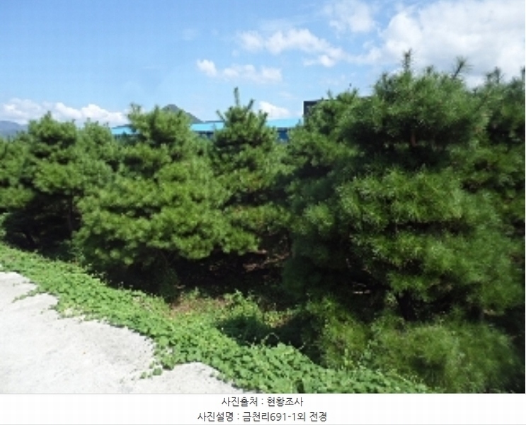 2024타경12090 경상남도 밀양시 산외면 금천리 691-1 하천 경매 이미지