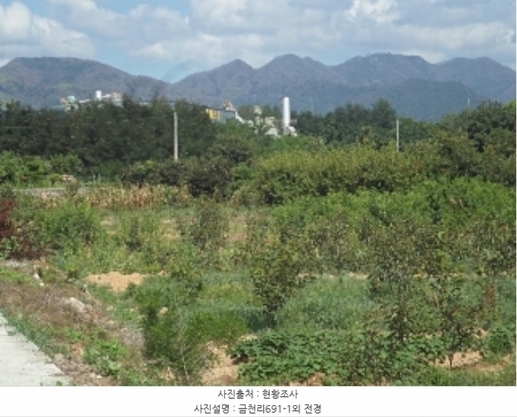 2024타경12090 경상남도 밀양시 산외면 금천리 691-1 하천 경매 이미지