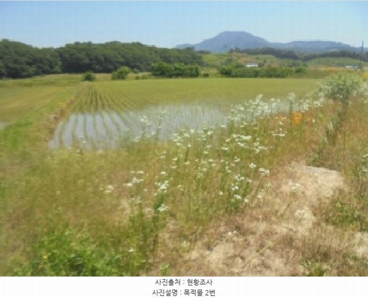 2025타경30555 충청북도 충주시 산척면 송강리 2200 농지 경매 이미지