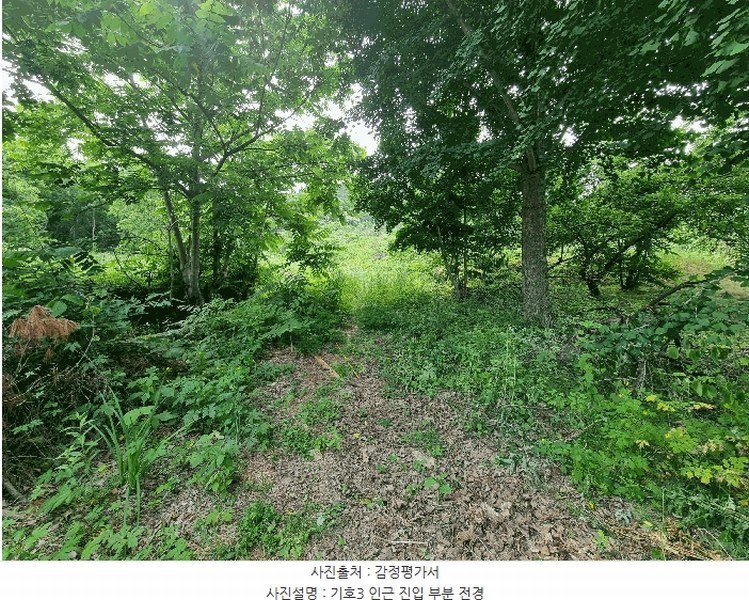 2025타경30590 충청북도 충주시 동량면 조동리 847 농지 경매 이미지