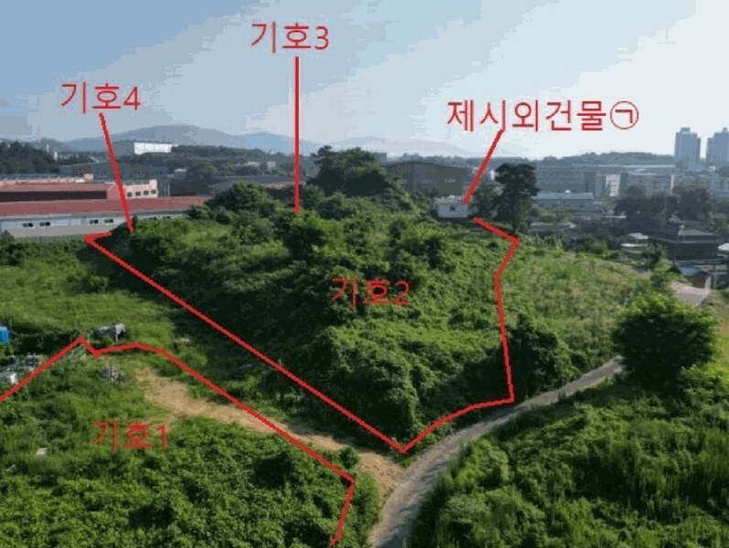 2025타경30655 충청북도 음성군 대소면 대풍리 산33-7 임야 경매 이미지