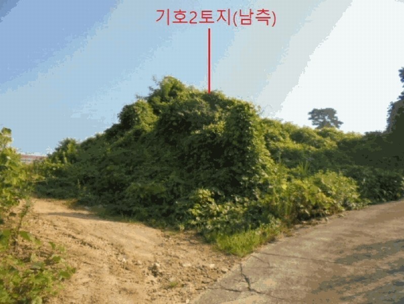 2025타경30655 충청북도 음성군 대소면 대풍리 산33-7 임야 경매 이미지
