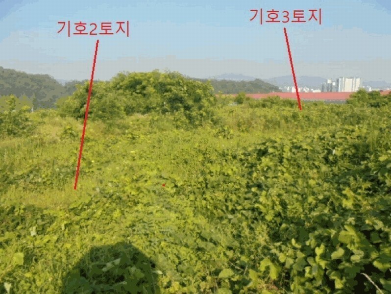 2025타경30655 충청북도 음성군 대소면 대풍리 산33-7 임야 경매 이미지