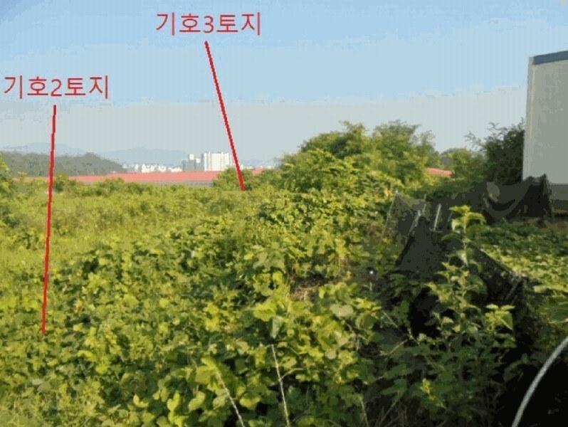 2025타경30655 충청북도 음성군 대소면 대풍리 산33-7 임야 경매 이미지
