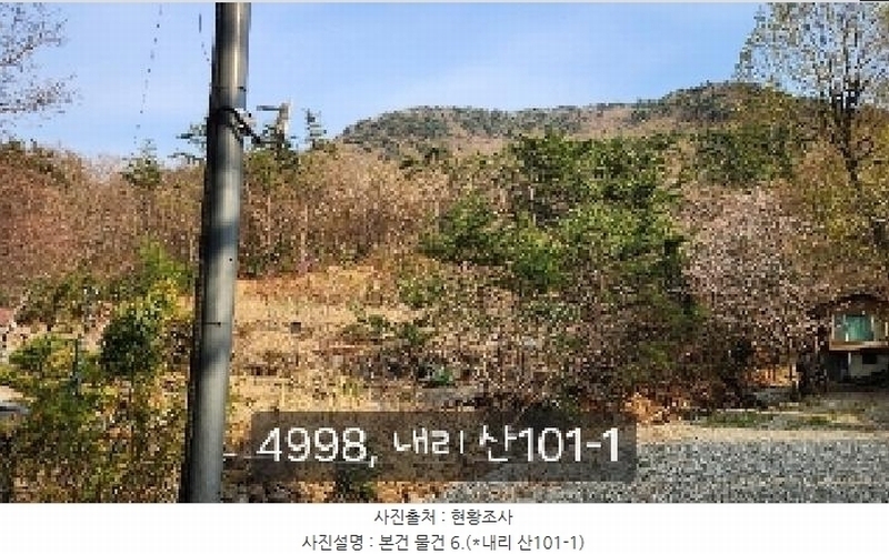 2025타경4998 부산광역시 기장군 기장읍 내리 산101 임야 경매 이미지