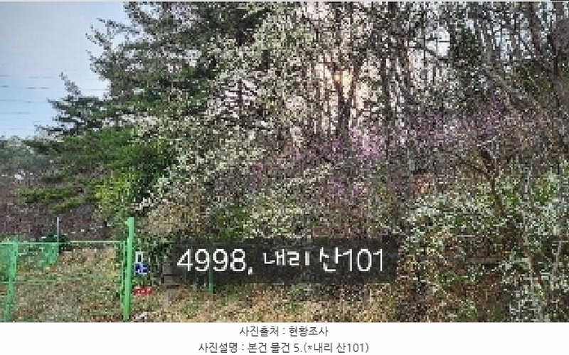 2025타경4998 부산광역시 기장군 기장읍 내리 산101 임야 경매 이미지