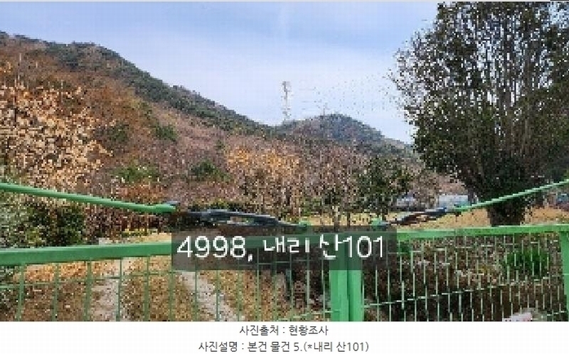 2025타경4998 부산광역시 기장군 기장읍 내리 산101 임야 경매 이미지