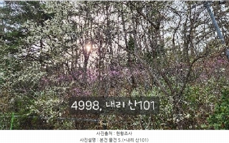 2025타경4998 부산광역시 기장군 기장읍 내리 산101 임야 경매 이미지