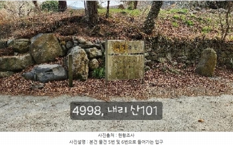 2025타경4998 부산광역시 기장군 기장읍 내리 산101 임야 경매 이미지