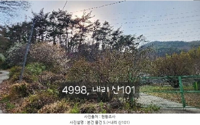 2025타경4998 부산광역시 기장군 기장읍 내리 산101 임야 경매 이미지