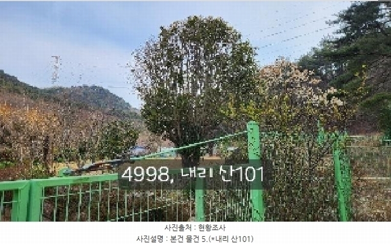 2025타경4998 부산광역시 기장군 기장읍 내리 산101 임야 경매 이미지