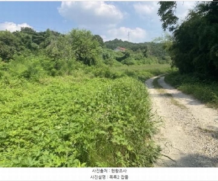 2025타경731 충청남도 당진시 송악읍 가학리 537 대지 경매 이미지