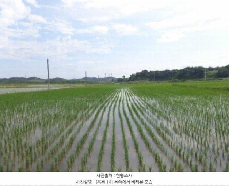 2025타경51410 충청남도 서산시 지곡면 환성리 694-26 농지 경매 이미지