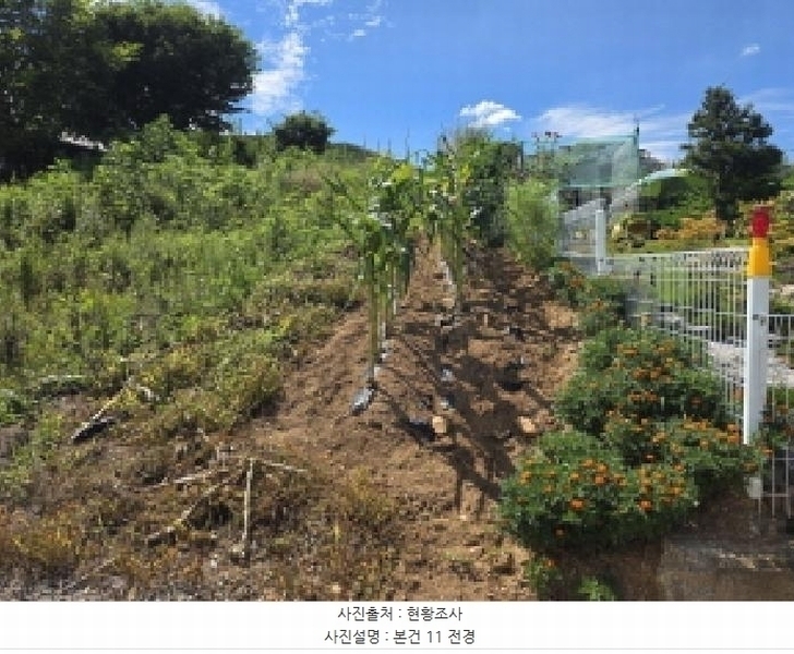 2025타경136 충청북도 제천시 강제동 157-9 과수원 경매 이미지