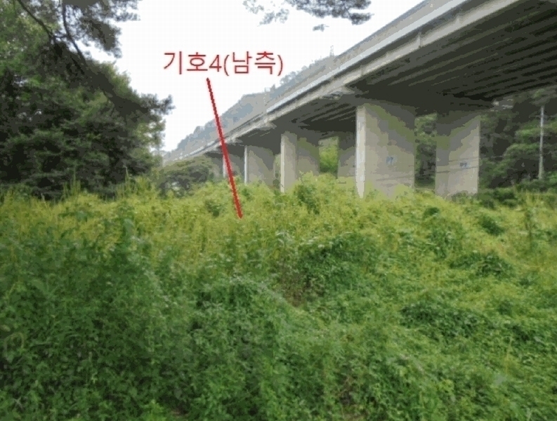 2025타경156 충청북도 제천시 봉양읍 명도리 95-8 농지 경매 이미지