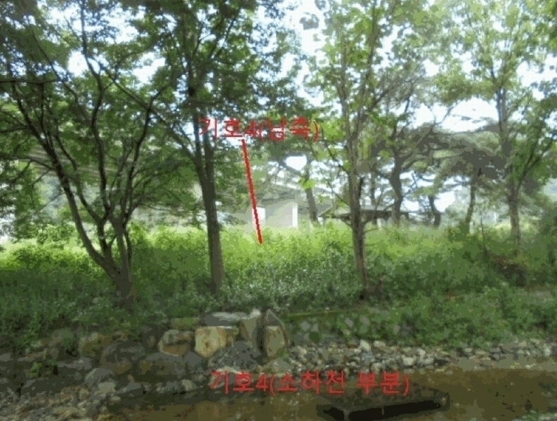 2025타경156 충청북도 제천시 봉양읍 명도리 95-8 농지 경매 이미지