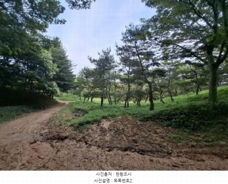 2025타경675 경상남도 사천시 곤명면 삼정리 산40-1 임야 경매 이미지