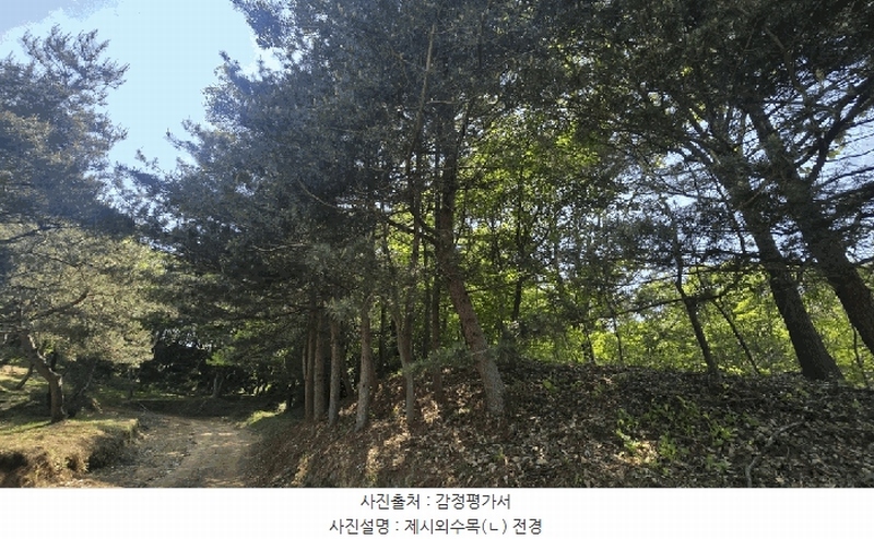 2025타경675 경상남도 사천시 곤명면 삼정리 산40-1 임야 경매 이미지