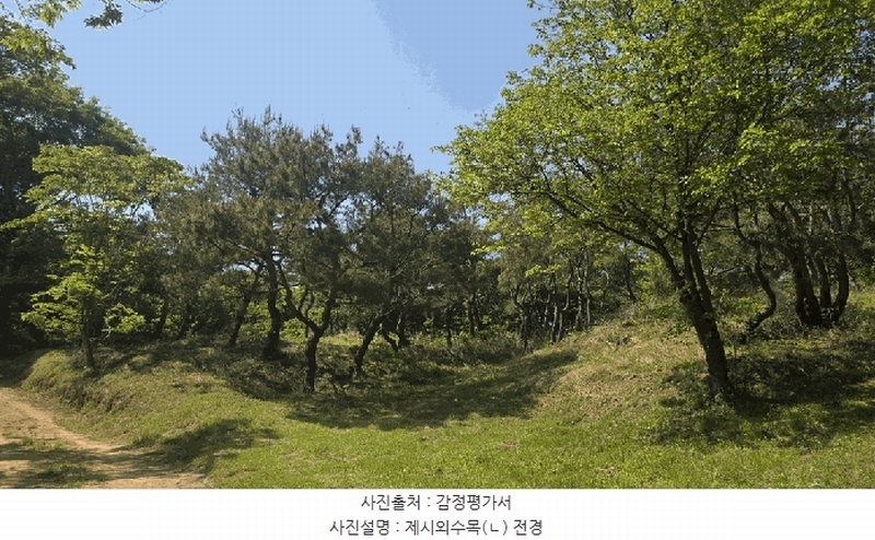 2025타경675 경상남도 사천시 곤명면 삼정리 산40-1 임야 경매 이미지