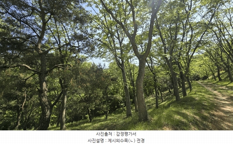 2025타경675 경상남도 사천시 곤명면 삼정리 산40-1 임야 경매 이미지