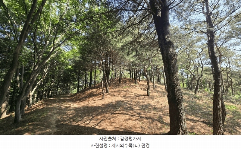 2025타경675 경상남도 사천시 곤명면 삼정리 산40-1 임야 경매 이미지