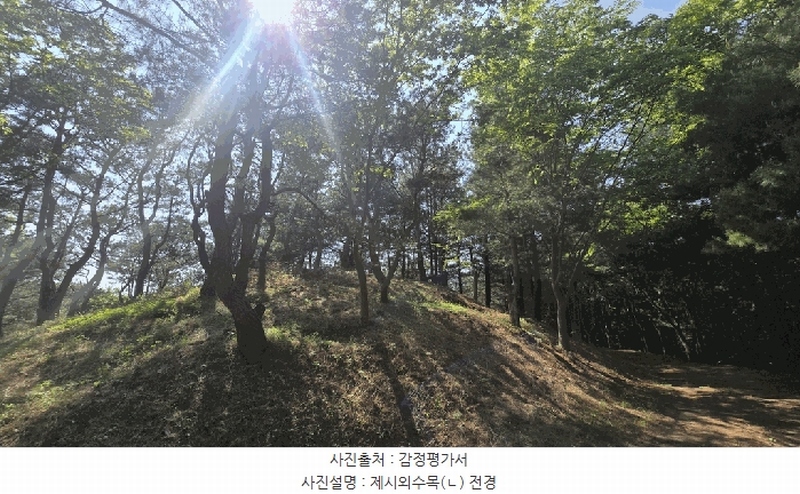 2025타경675 경상남도 사천시 곤명면 삼정리 산40-1 임야 경매 이미지
