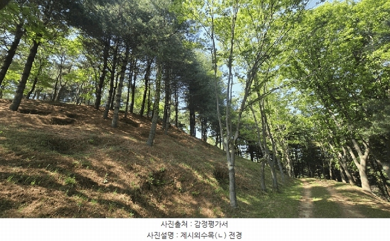 2025타경675 경상남도 사천시 곤명면 삼정리 산40-1 임야 경매 이미지