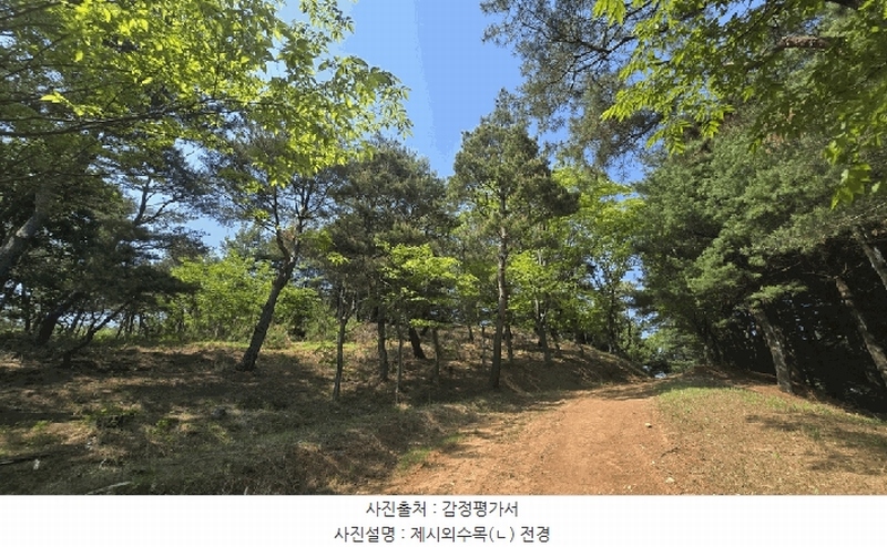 2025타경675 경상남도 사천시 곤명면 삼정리 산40-1 임야 경매 이미지