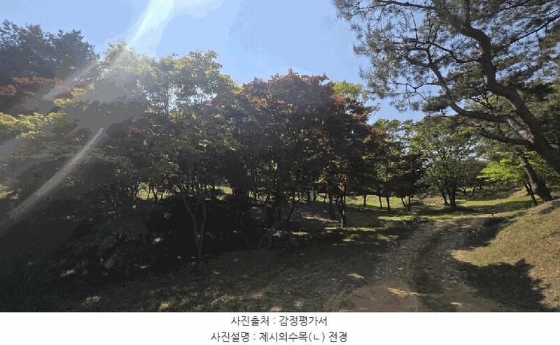 2025타경675 경상남도 사천시 곤명면 삼정리 산40-1 임야 경매 이미지