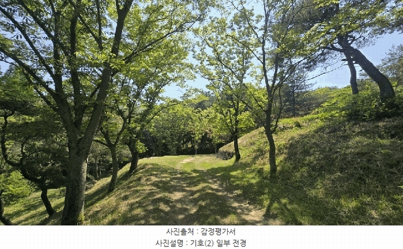 2025타경675 경상남도 사천시 곤명면 삼정리 산40-1 임야 경매 이미지