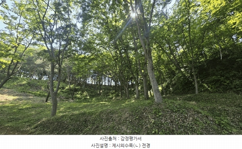 2025타경675 경상남도 사천시 곤명면 삼정리 산40-1 임야 경매 이미지