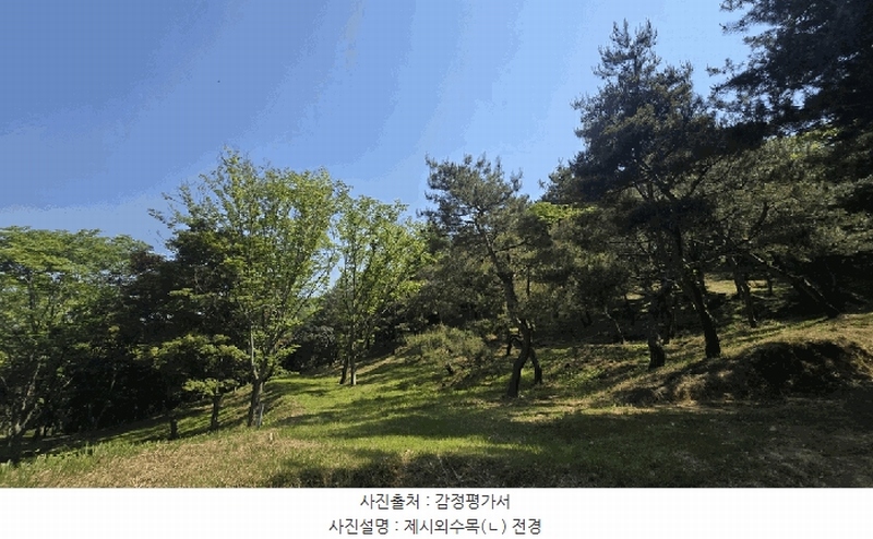 2025타경675 경상남도 사천시 곤명면 삼정리 산40-1 임야 경매 이미지