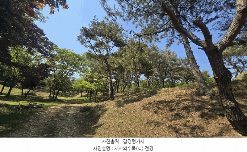 2025타경675 경상남도 사천시 곤명면 삼정리 산40-1 임야 경매 이미지