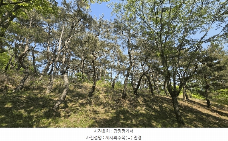 2025타경675 경상남도 사천시 곤명면 삼정리 산40-1 임야 경매 이미지