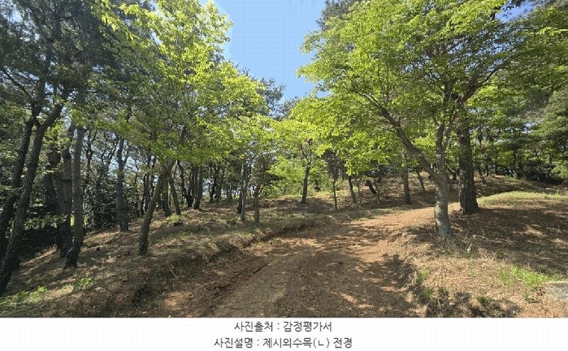 2025타경675 경상남도 사천시 곤명면 삼정리 산40-1 임야 경매 이미지