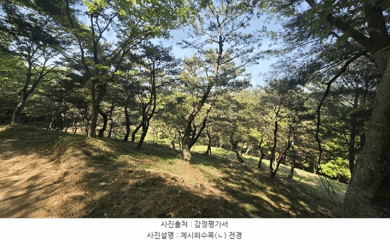 2025타경675 경상남도 사천시 곤명면 삼정리 산40-1 임야 경매 이미지