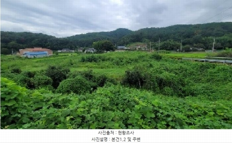 2025타경20831 경상남도 함안군 군북면 수곡리 31-4 농지 경매 이미지