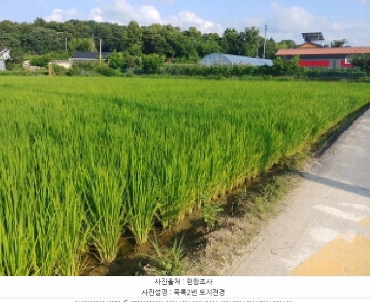 2025타경503034 충청남도 금산군 금성면 양전리 936 농지 경매 이미지