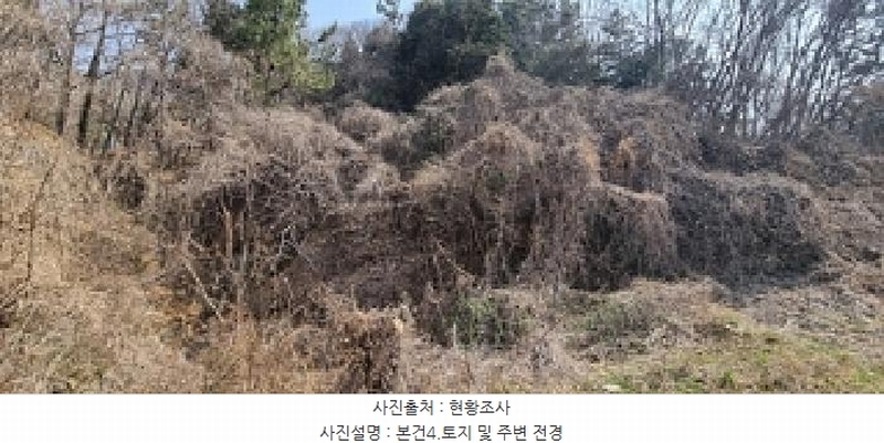 2025타경11221 경상남도 창원시 의창구 용동 산2-2 임야 경매 이미지