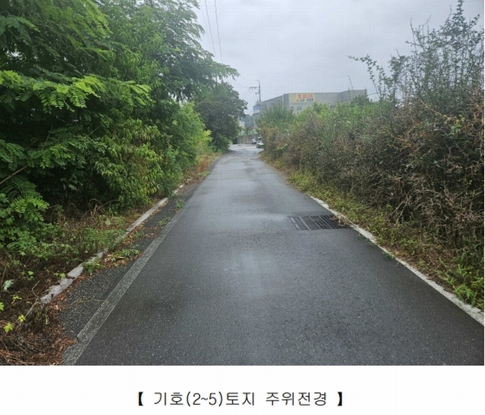 2025타경9393 경상북도 영천시 완산동 709-105 과수원 경매 이미지