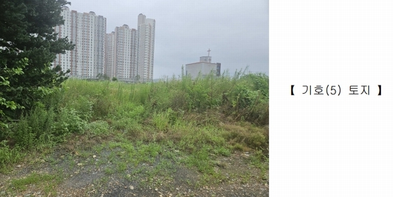 2025타경9393 경상북도 영천시 완산동 709-105 과수원 경매 이미지